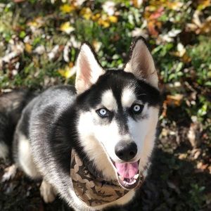 Meet your Posher, Noemi